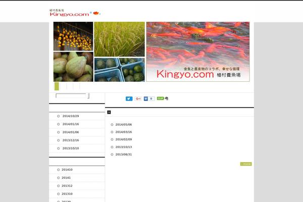 kingyo.com site used Hpb20130619071521