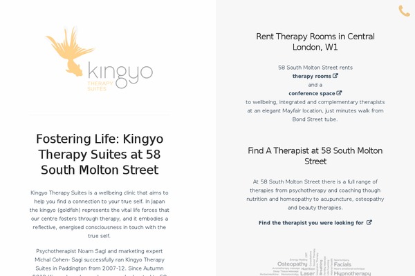 kingyotherapy.com site used Kingyo