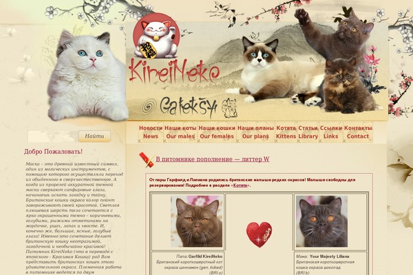 kireineko.ru site used Neko