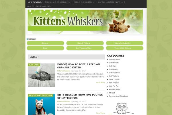kittenswhiskers.com site used Socrates-child