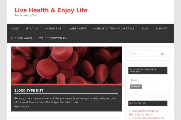 Dynamic News Lite theme site design template sample