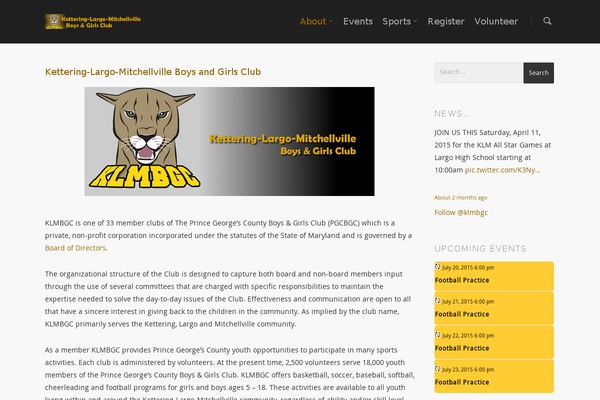 Salient theme site design template sample