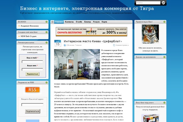 WordPress website example screenshot