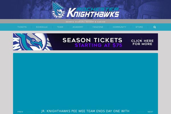 knighthawks.net site used Storm