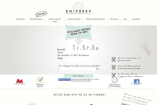 Tuneup theme site design template sample