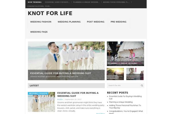 Lifestyle Pro theme site design template sample