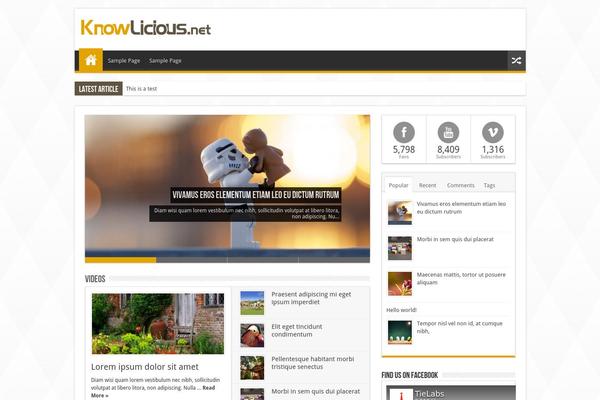 Sahifa theme site design template sample