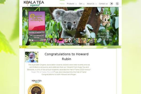WordPress website example screenshot