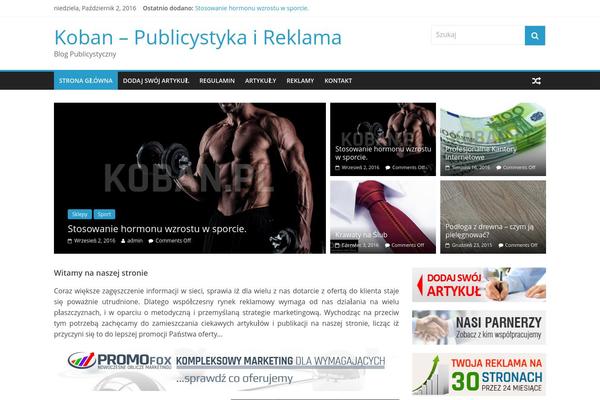 WordPress website example screenshot