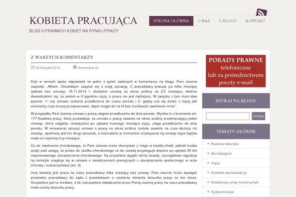 WordPress website example screenshot
