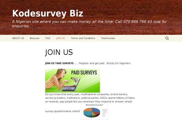 Twenty Thirteen theme site design template sample