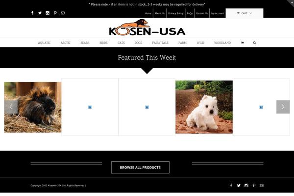 koesen-usa.com site used Kosen
