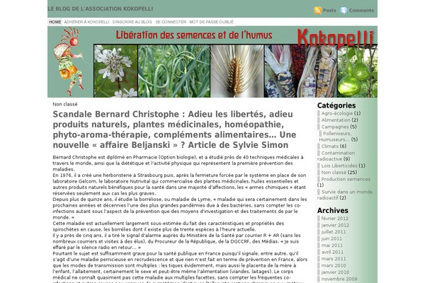 Atahualpa theme site design template sample