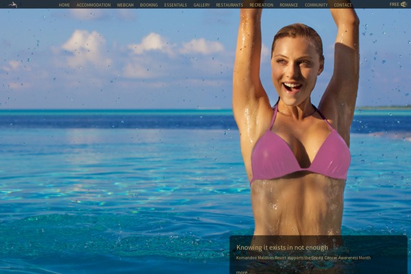 immense theme websites examples