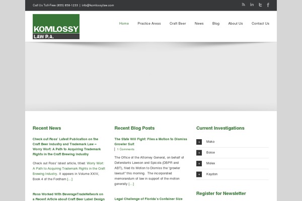 WordPress website example screenshot