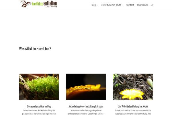 WordPress website example screenshot