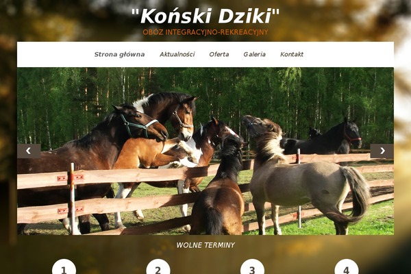 konneobozy.pl site used Konneobozy