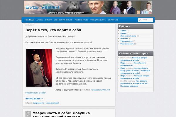 WordPress website example screenshot