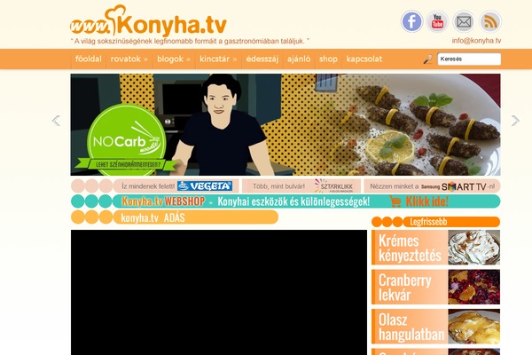 wphoster theme websites examples