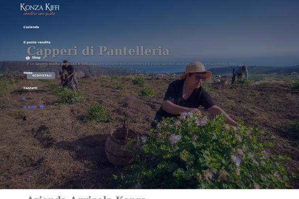 Astra theme site design template sample