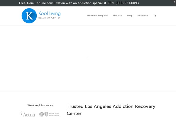 Avada theme site design template sample