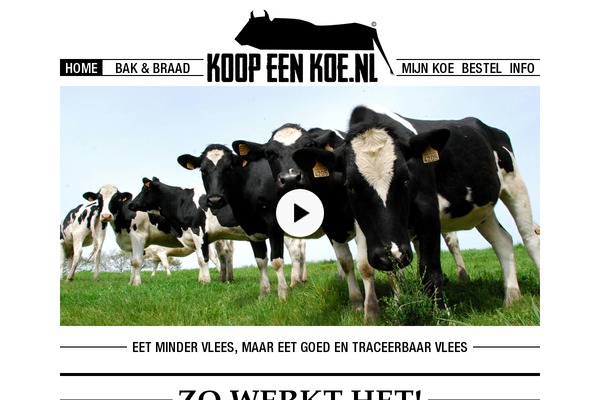 koe WordPress theme, websites list used koe theme koe theme websites examples