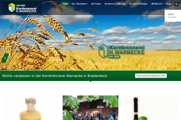 WordPress website example screenshot