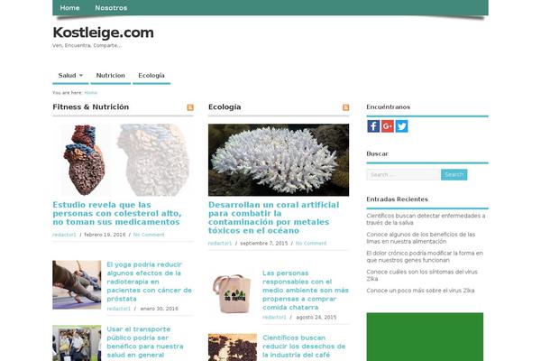 MesoColumn theme site design template sample