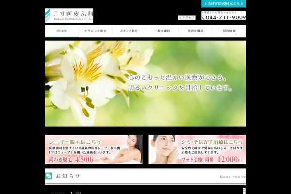 kosugihifuka.com site used Kosugi2020