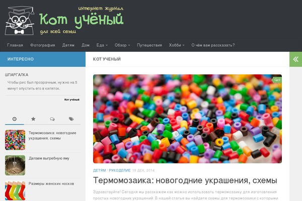 Hueman theme site design template sample