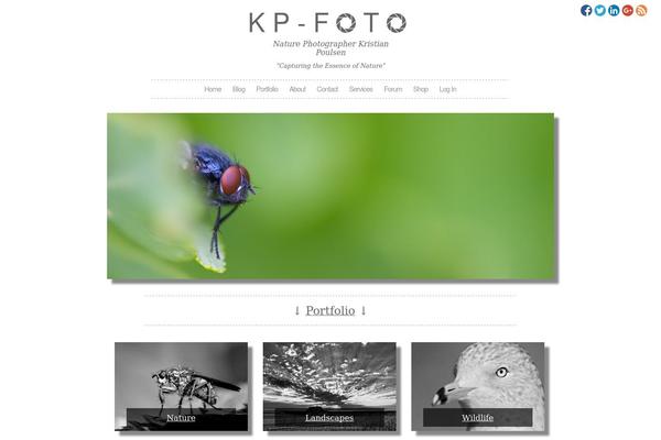 Photolistic theme site design template sample