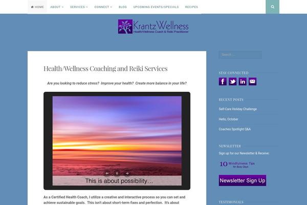 WordPress website example screenshot