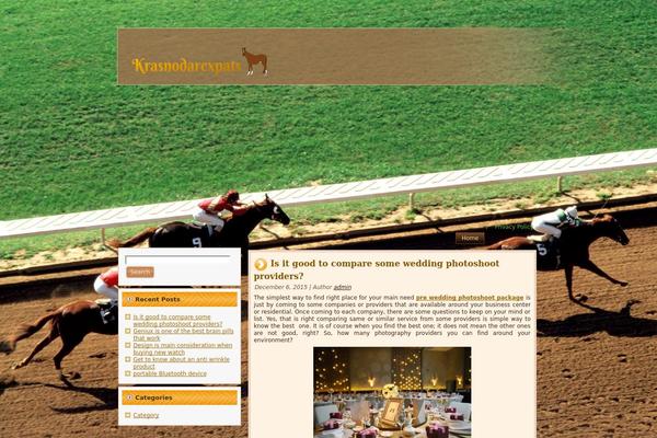 riding_horses_info theme websites examples