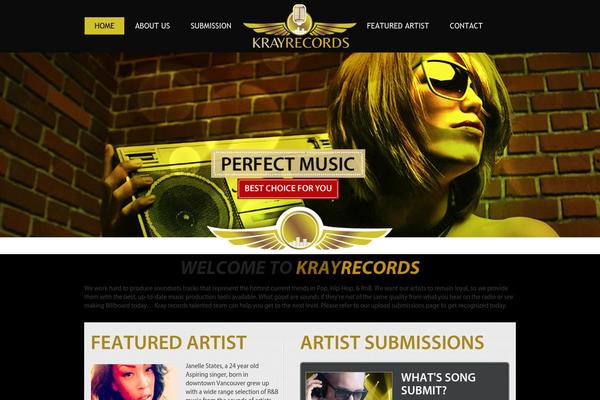 krayrecords theme websites examples