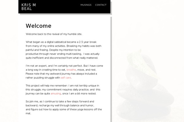 Divi theme site design template sample