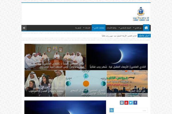 Sahifa theme site design template sample