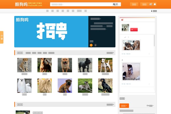 Dog theme site design template sample