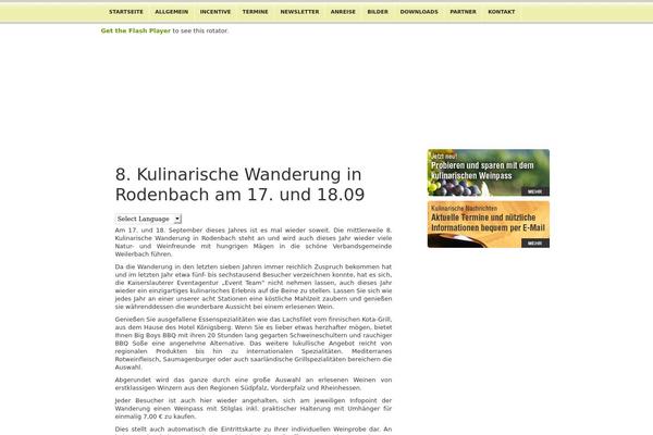WordPress website example screenshot