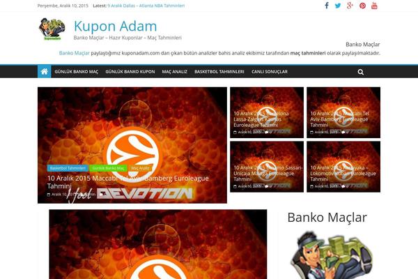 WordPress website example screenshot
