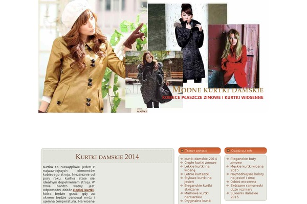 kurtkidamskie.eu site used Muffler_fashion