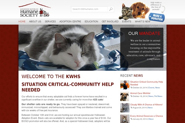 arrowsmith theme websites examples