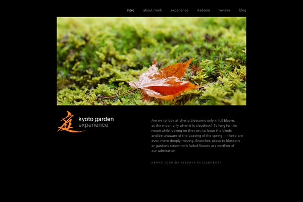 Site using FancyBox plugin