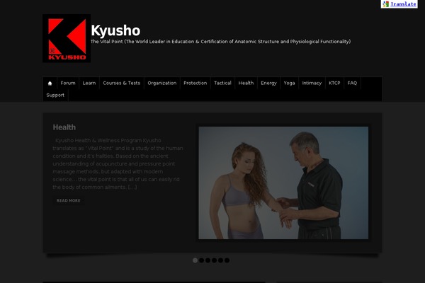 kyusho.com site used Wp Mysterious