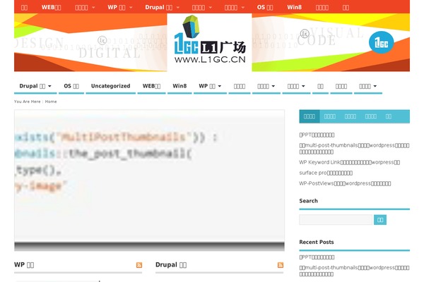 MesoColumn theme site design template sample