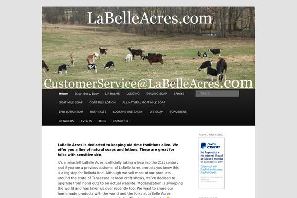 Twenty Eleven theme site design template sample