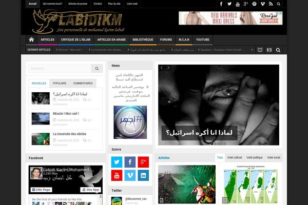 labidikm.com site used Multinews