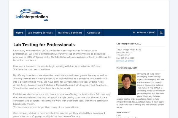 Twenty Sixteen theme site design template sample