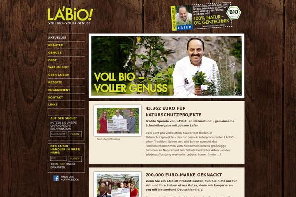 WordPress website example screenshot