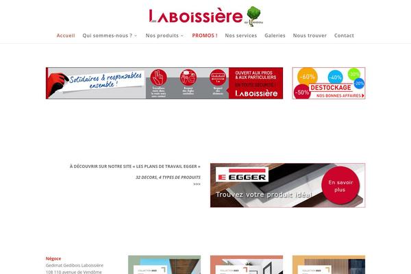 Divi theme site design template sample