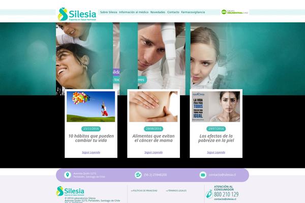 Silesia theme site design template sample